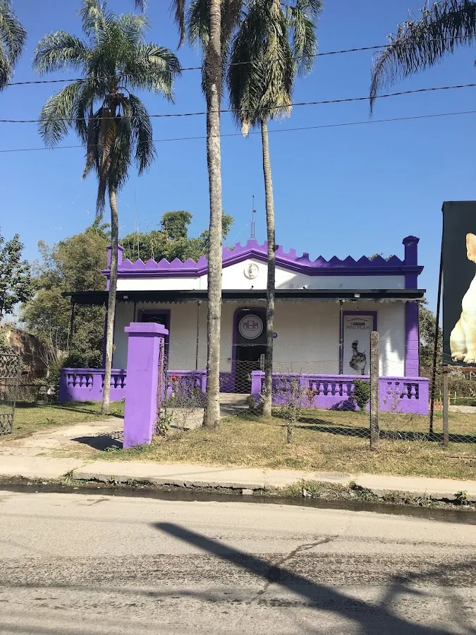 La casa violeta de la veterinaria vista desde la calle, entre palmeras